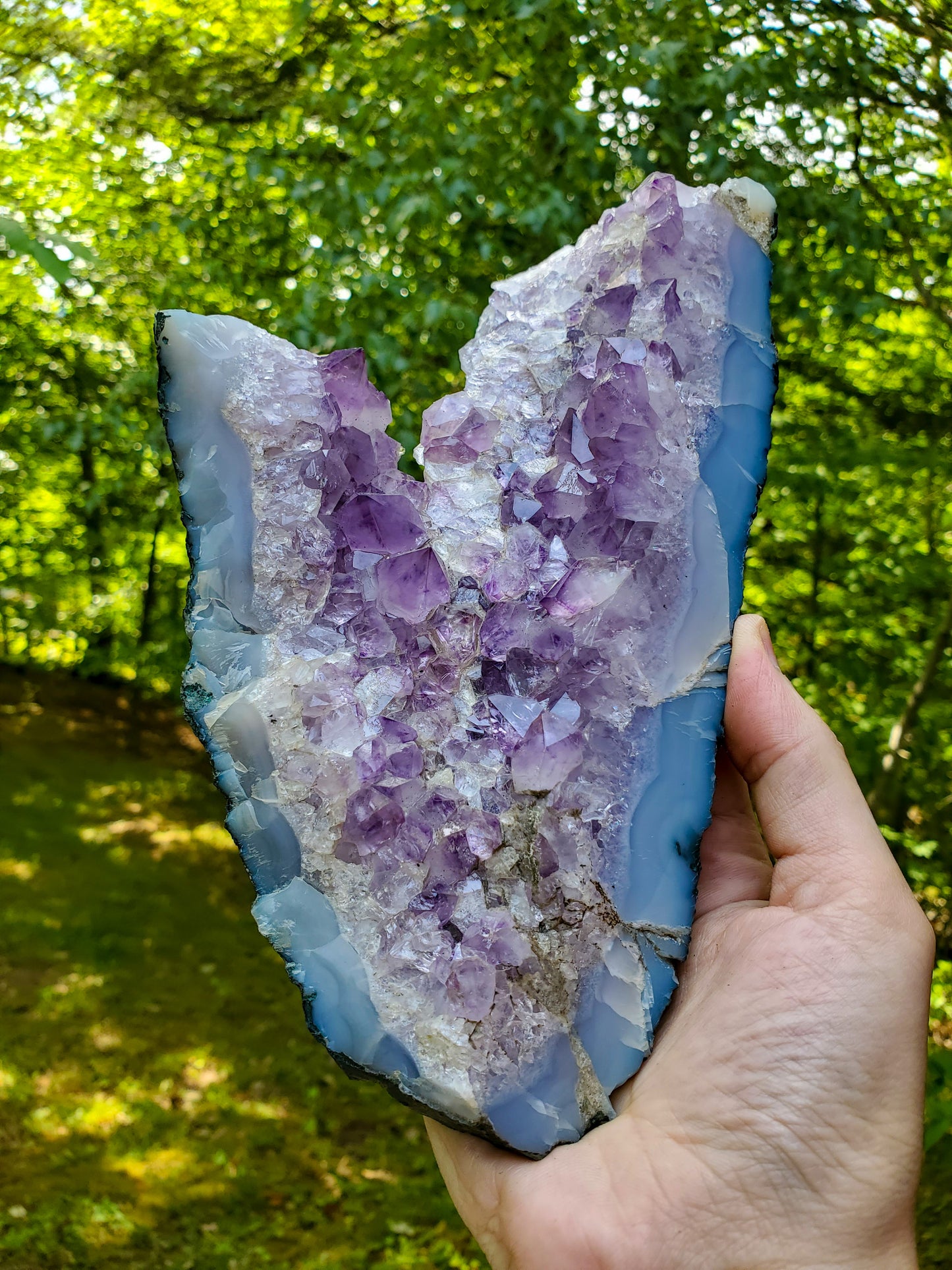 Raw Amethyst | Amethyst Geode | Natural Crystal Amethyst Quartz Cluster 8"