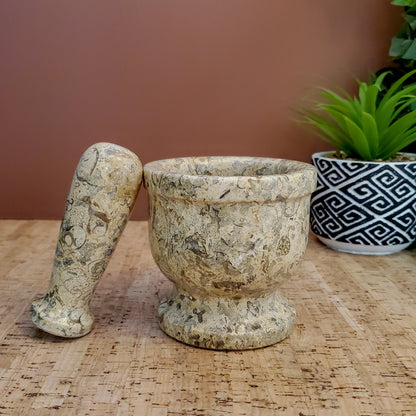 Coral Gift For The Home Set - Mortar and Pestle | Trinket Jewelry Box | Stone Bowl