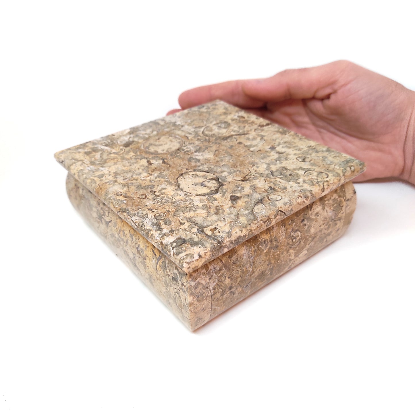 Coral Stone Jewelry Box Traditional Coral Gift for 35th Wedding Anniversary 5"