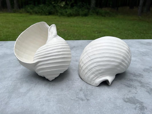 Pair Vintage White Faux Conch Seashell Decor Accent Coastal Beach Home - 7" Long