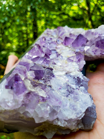 Raw Amethyst |  Amethyst Geode | Natural Crystal Amethyst Quartz Cluster 8"