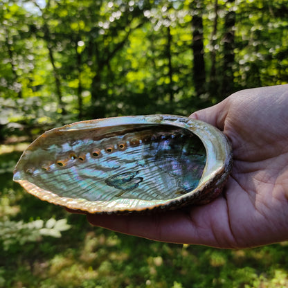 Small Burner Abalone Shell Natural Smudging Burner Resin Sage Charcoal Incense